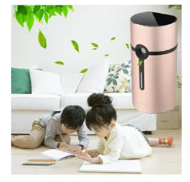 Air Purifier Sterilizing Deodorizer Anti Bacteria Antivirus Prevent Mildew Air Cleaner