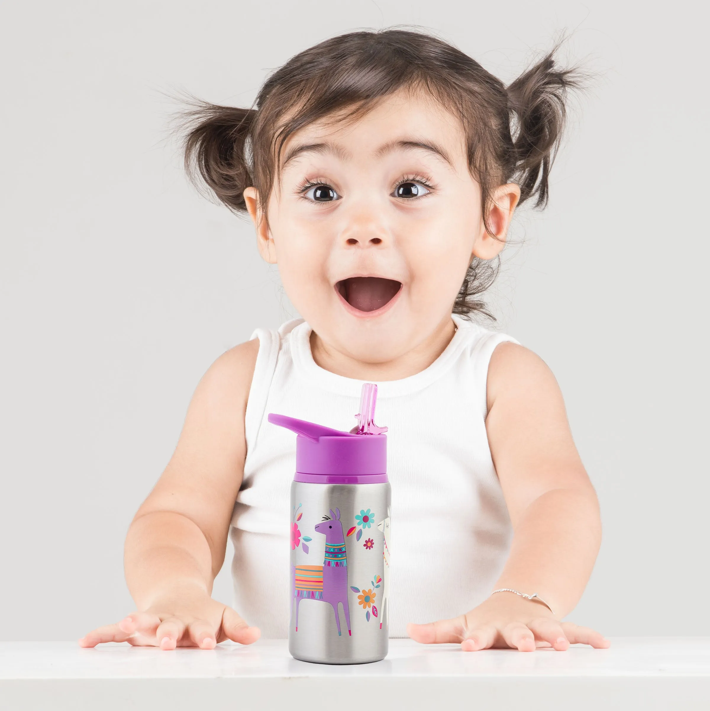 Stainless Steel Water Bottles Llama